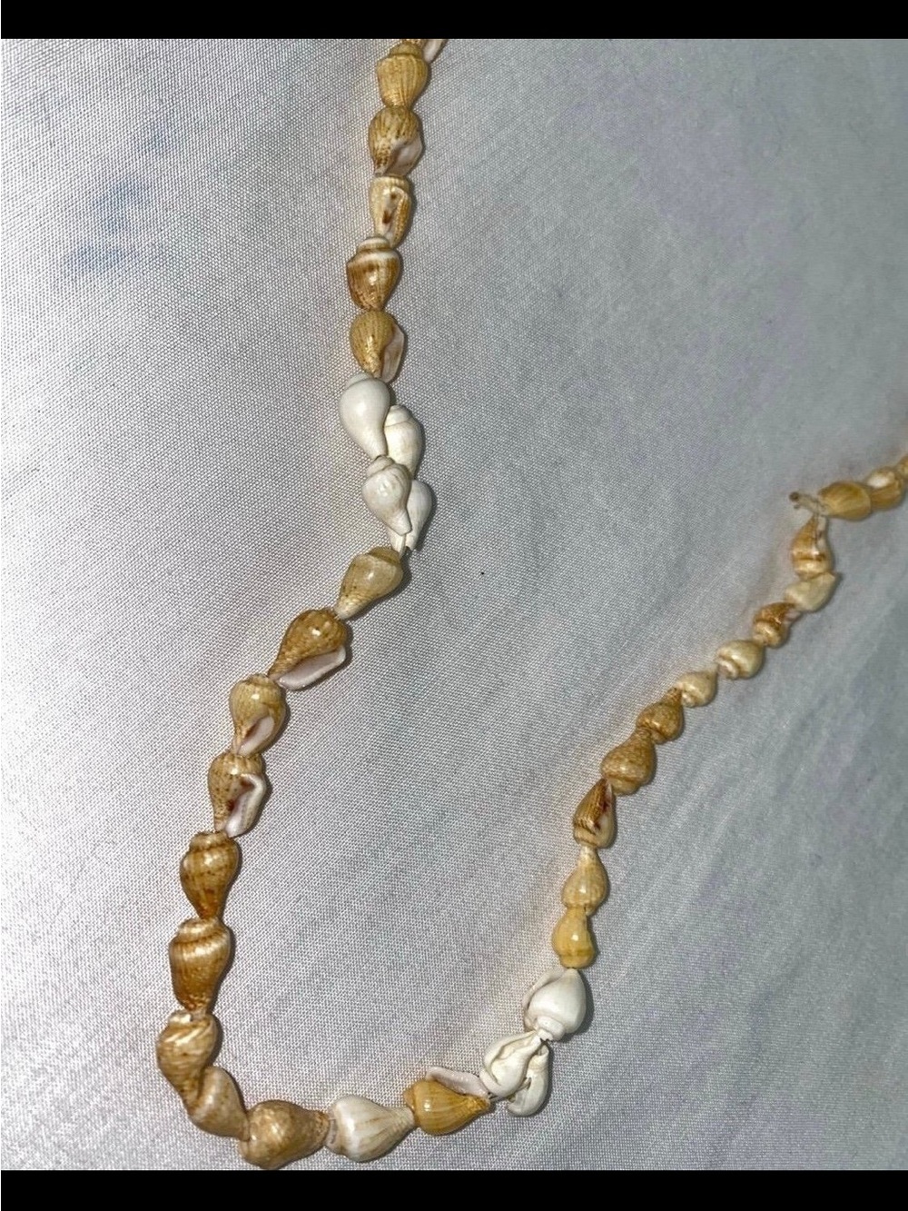 Seashell necklace
